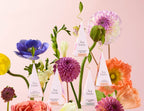 Petite Presentation Box Mariposa