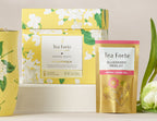 Hydrangea by Draper James Single Steeps® Sampler