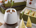 Joey Tea Mug White