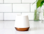 Joey Tea Mug White