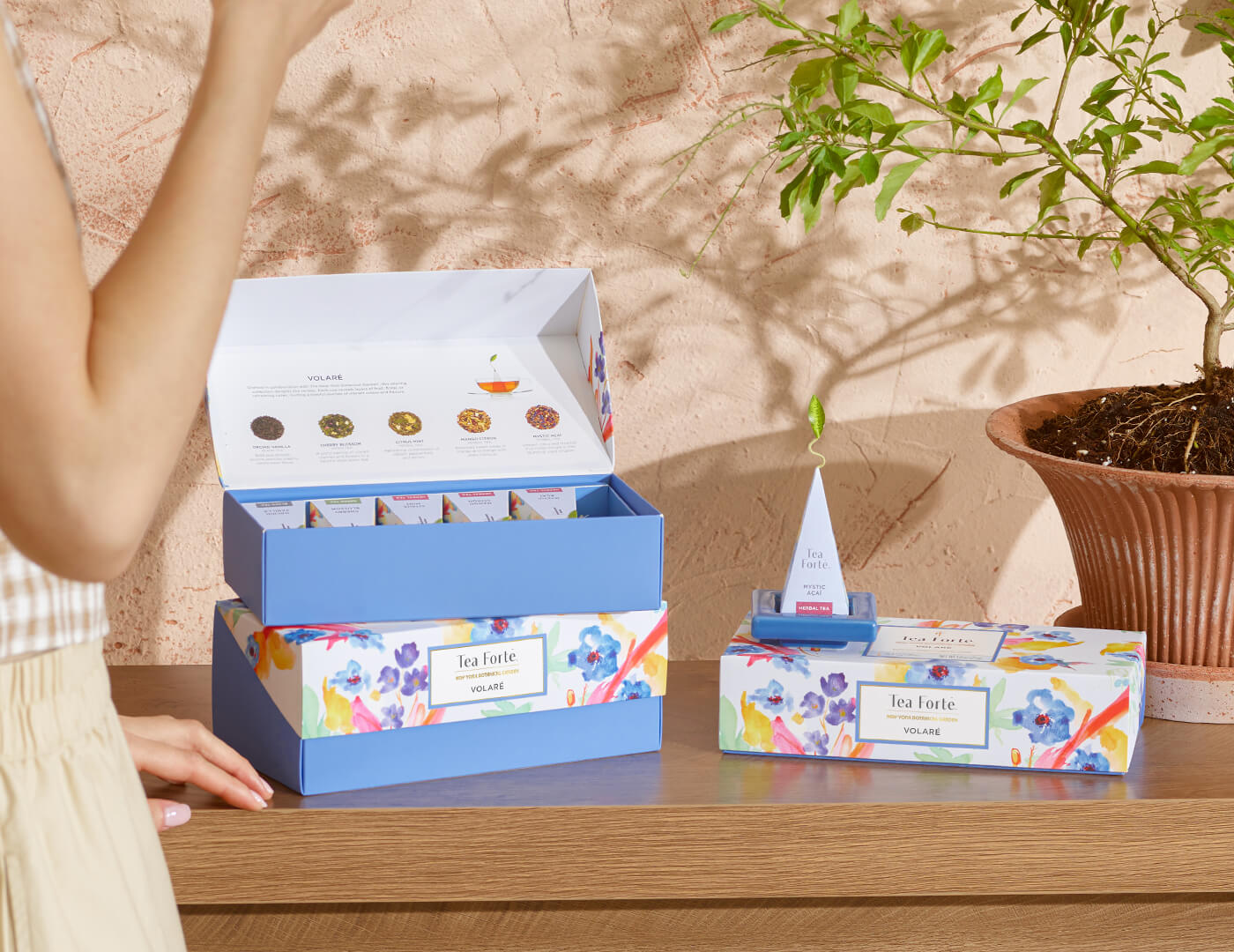 Volaré Petite Presentation Box