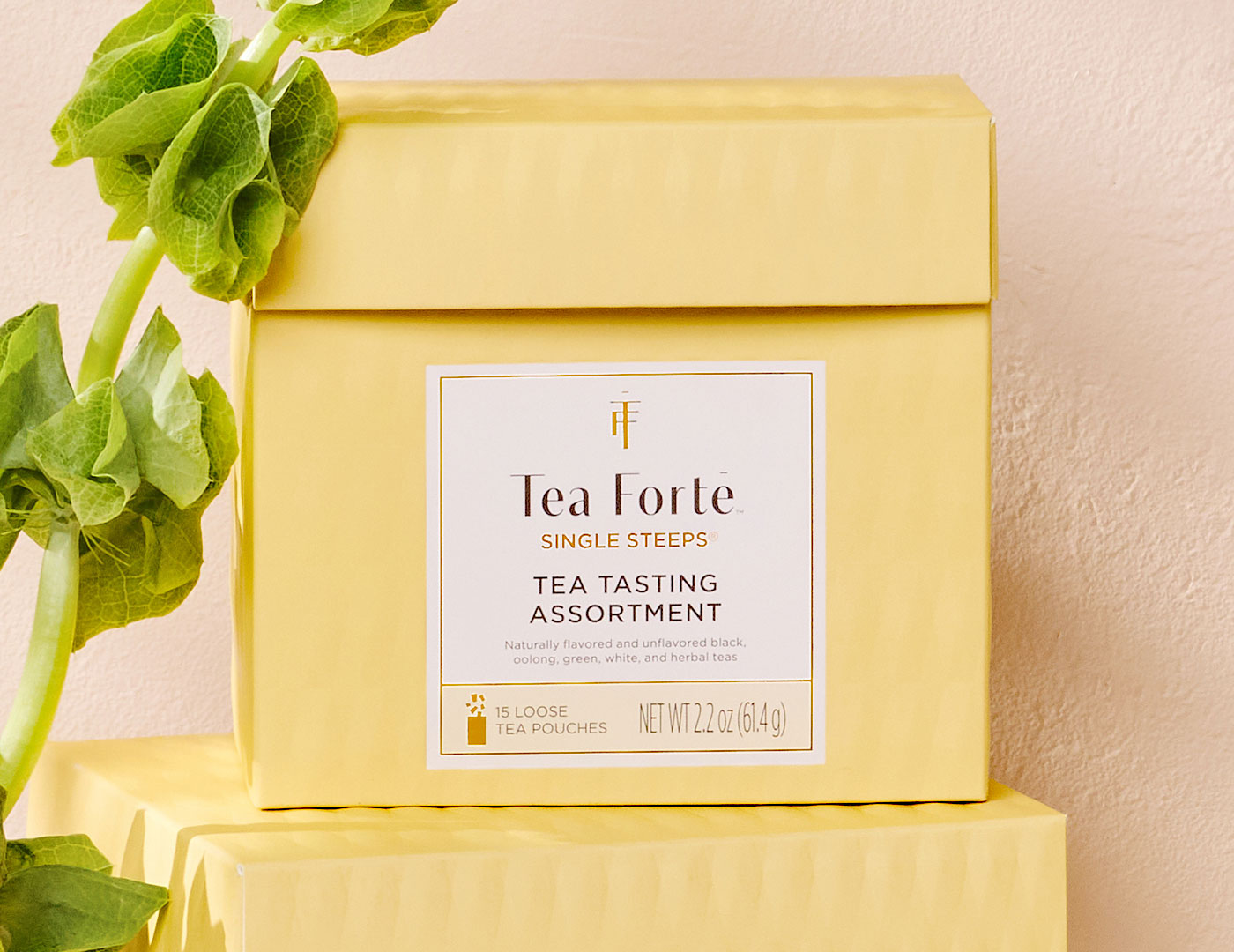 Tea Tasting Assortment Single Steeps® Sampler