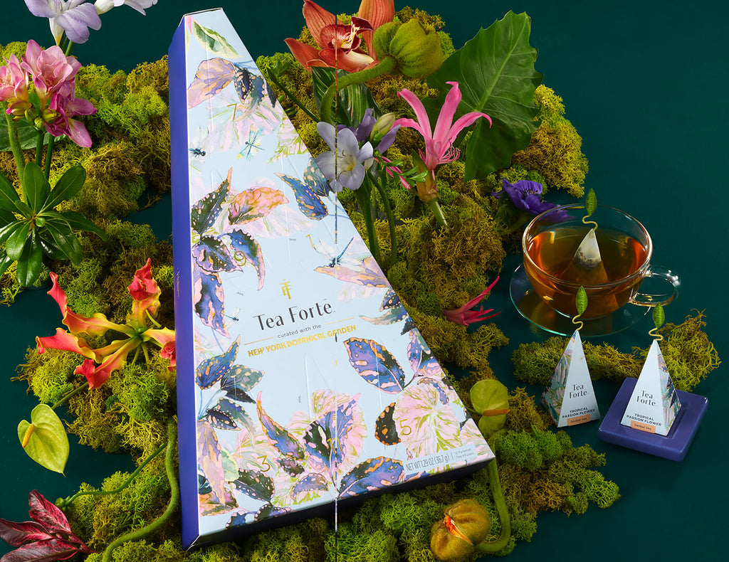 Demoiselle Explorers Tea Set