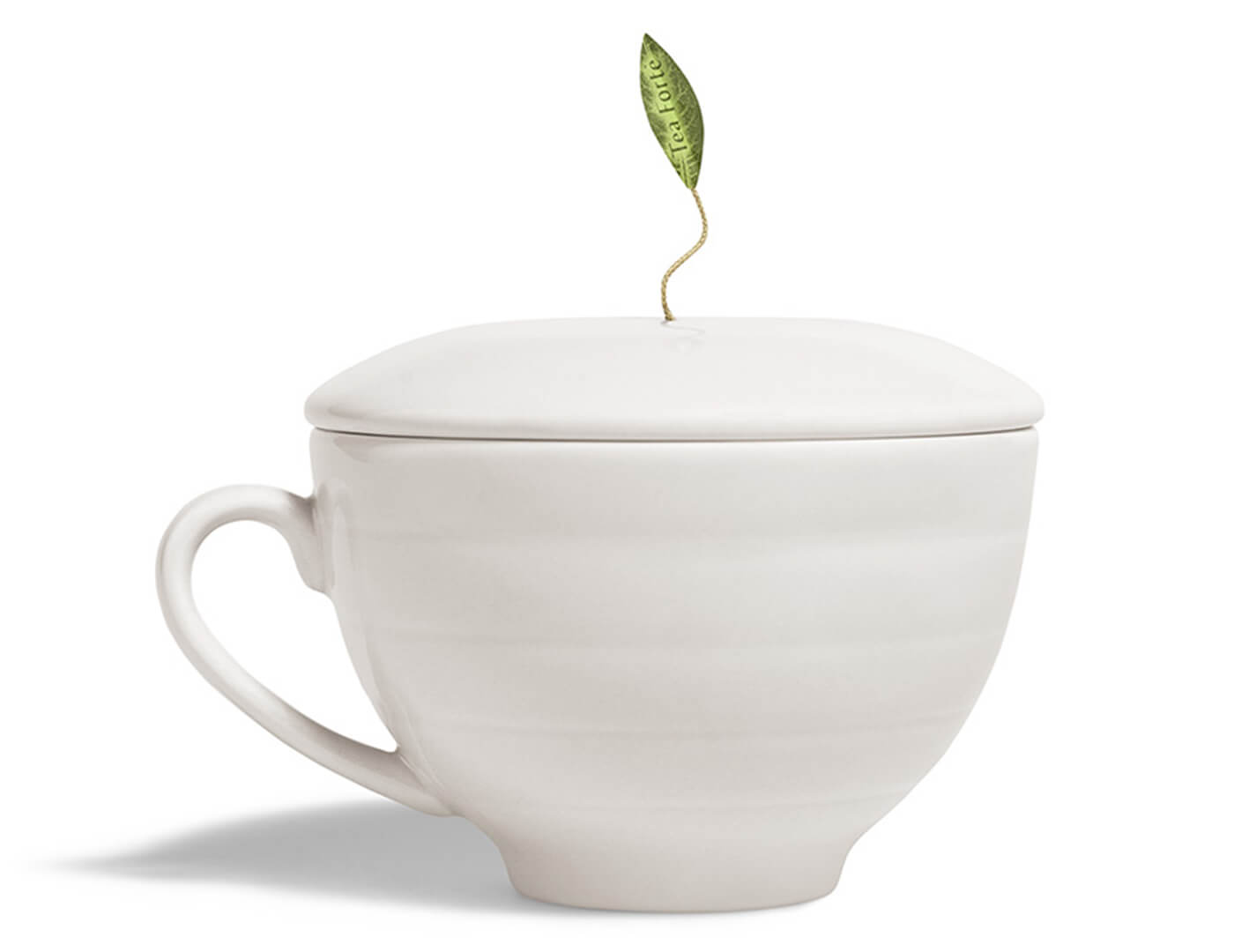 Demoiselle Explorers Tea Set